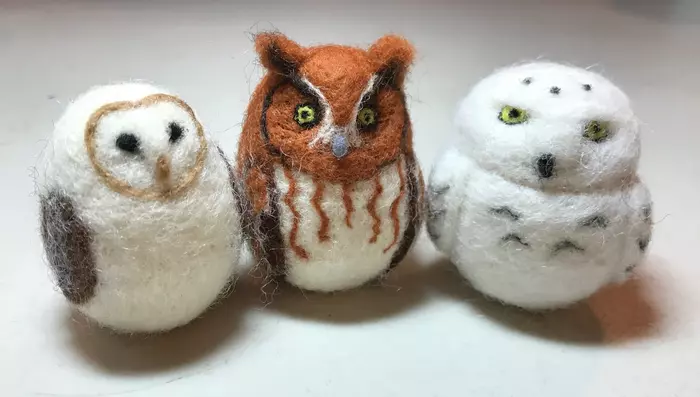 Wonders of Wool: Needle Felting an Owl. Sunday, June 2nd, 1:30-4:30 pm. In-Person.